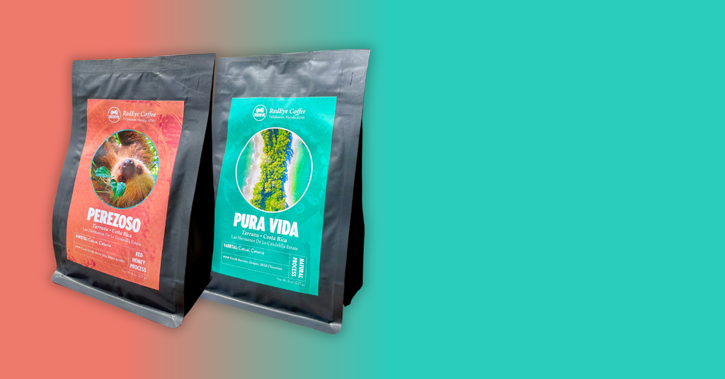 Perezoso and Pura Vida Coffee Bags at RedEye Coffee in Tallahassee, FL