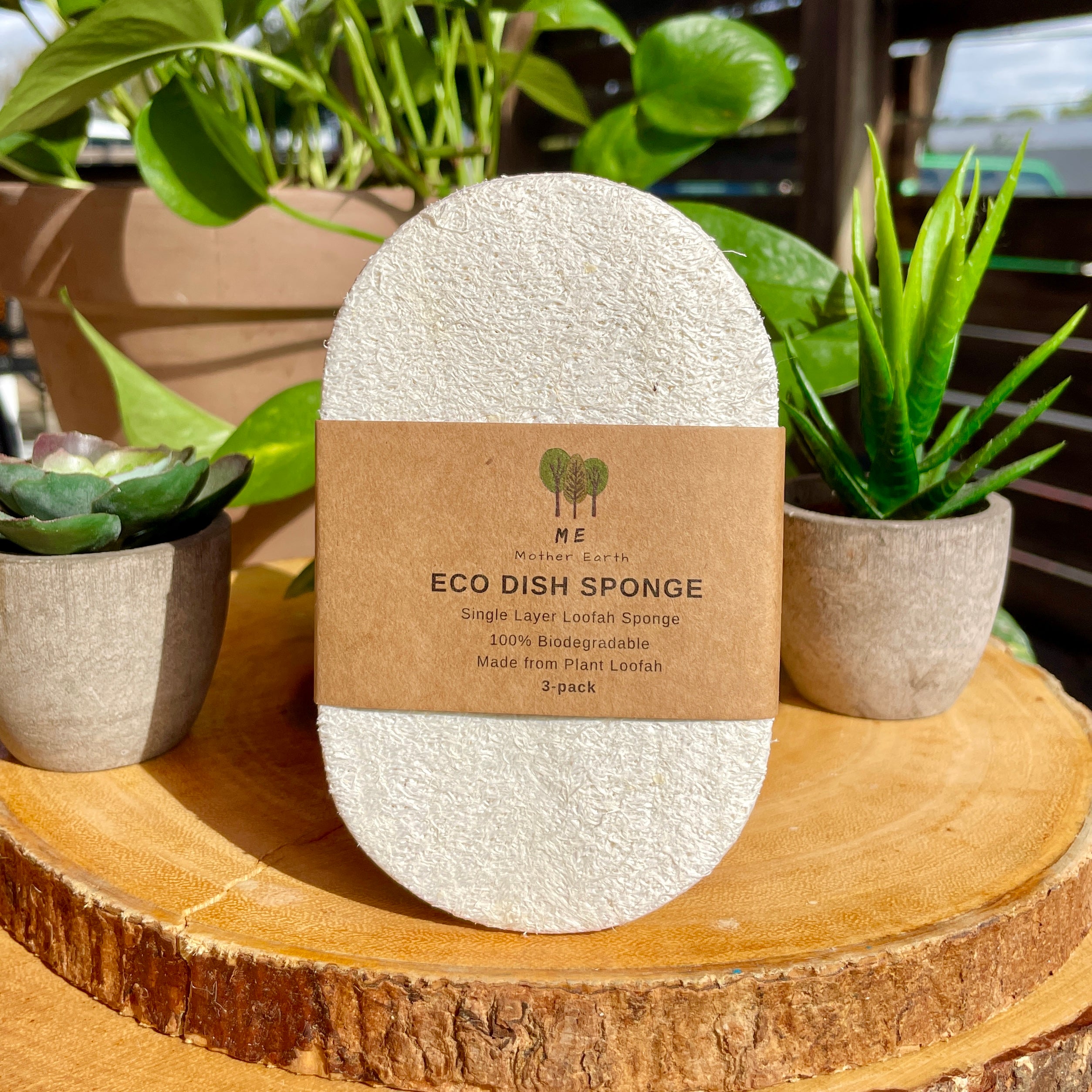 Me Mother Earth: Eco Dish Sponges (3 pack) – RedEye Coffee