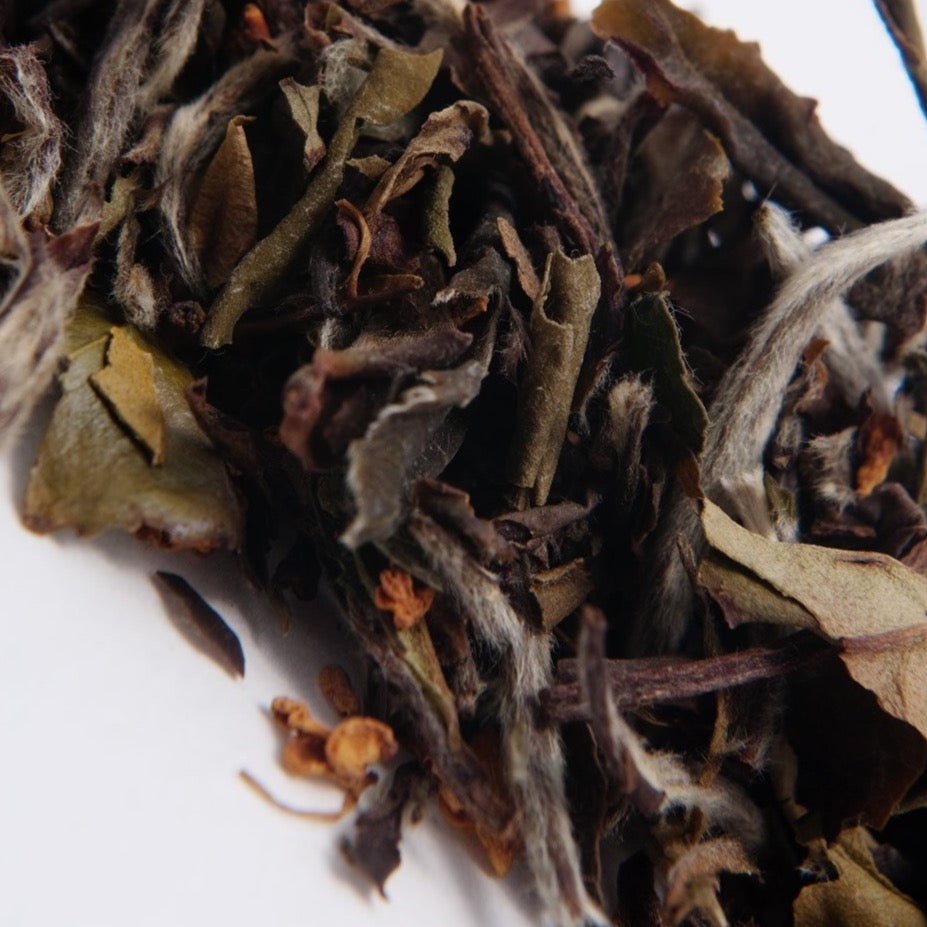 Traditional organic white tea infused with peaches from TeBella tea company sold in Tallahassee, FL. 