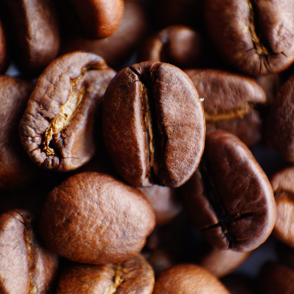 Fasig Brooks Come Back Stronger Bagged Coffee  Freshly roasted coffee in Tallahassee, FL